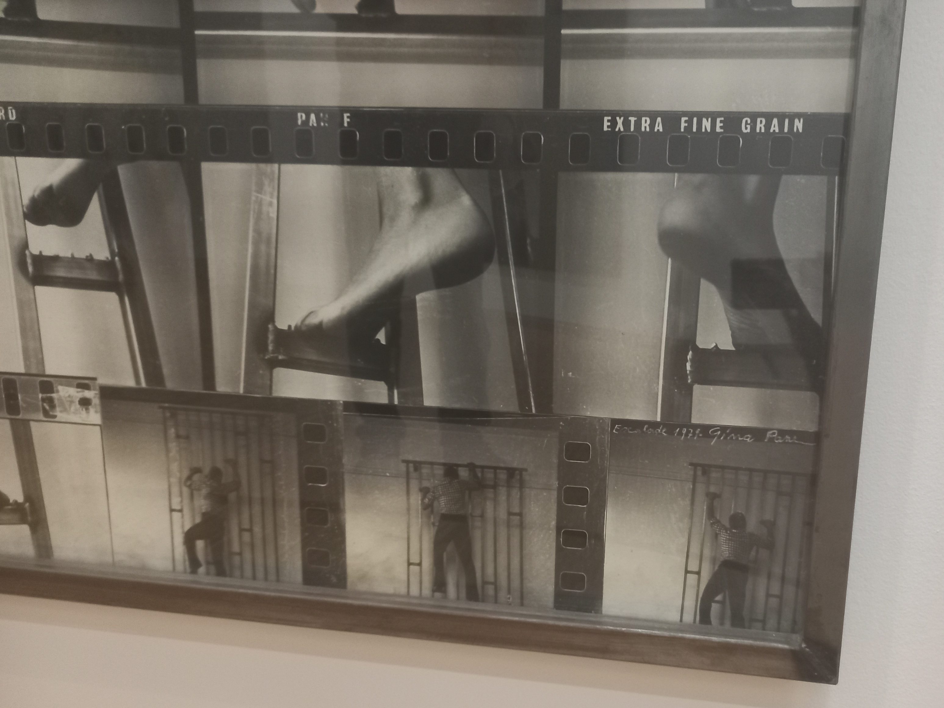 Action Escalade non-anesthésiée, Gina Pane, photographs